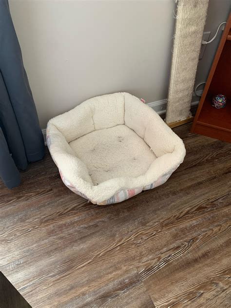 I have a cat. Cat not pictured. : r/notinteresting