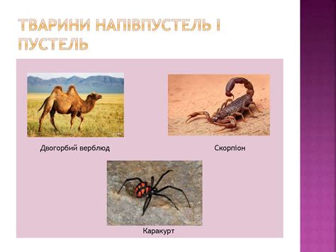 Природні зони Євразії. Вертикальна поясність. 7 клас - презентация онлайн