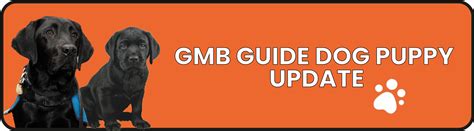 GMB Scotland | GMB Guide Dog Puppy Update