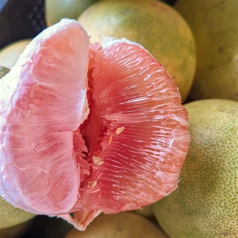 pomelo  filipino translation  clay brown blog