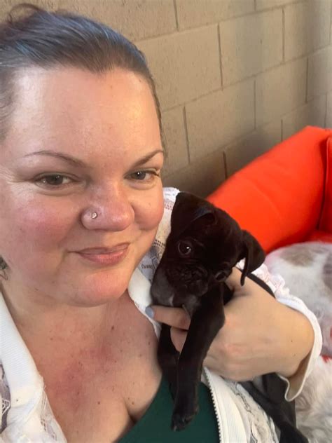 Dogspotting Society | After 8 years and 38 fosters with rescue I must