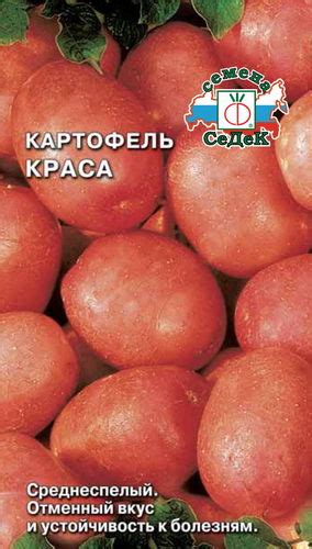 Картофель Краса, 0.02 г • Seed Shop