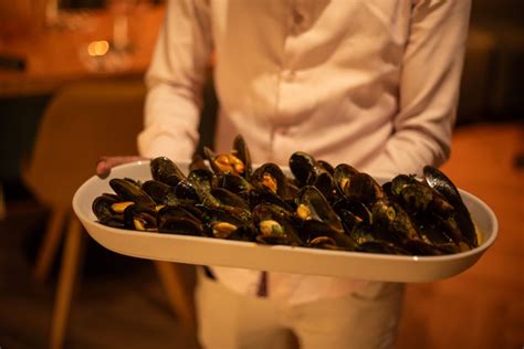 GALLERY | SeaBreeze - Fish and Shell