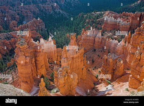 Hoodoos in Bryce Canyon Stock Photo - Alamy