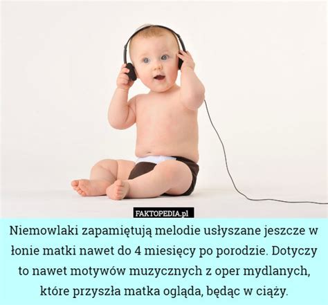 Faktopedia.pl