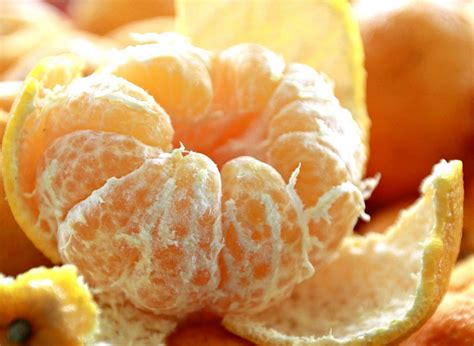 Mandarin Oranges In Season at Lucia Monk blog