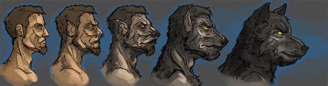 Werewolf transformation by Andy-Butnariu on DeviantArt