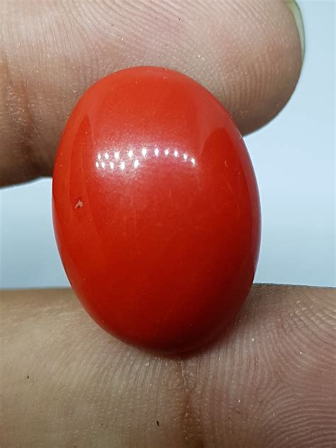 Red Coral Gemstone / Oval Cabochon Stone / Loose Gemstone / | Etsy