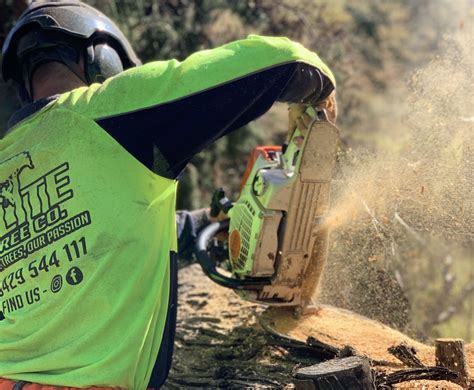 Tree Lopping & Tree Removals Sunshine Coast | Elite Tree Co | Teacher