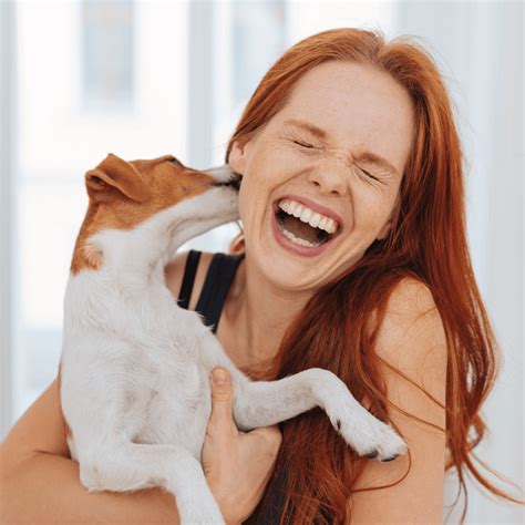 Exemplos De Projetos De Sustentabilidade - Construção e Remodelações