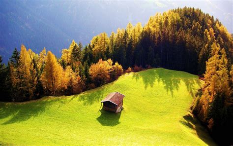 Forest Cabin Wallpapers - Top Free Forest Cabin Backgrounds ...