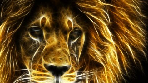 Lion 1080p Wallpaper - WallpaperSafari