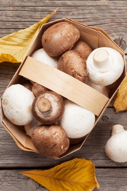premium photo champignon mushrooms