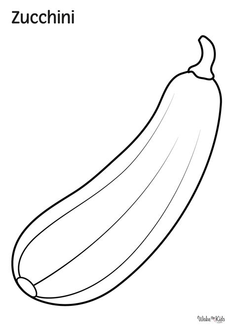 Zucchini Coloring Pages [2025]