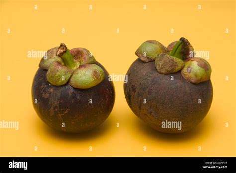 mangosteen exotic tropical fruit from malaysia Stock Photo - Alamy