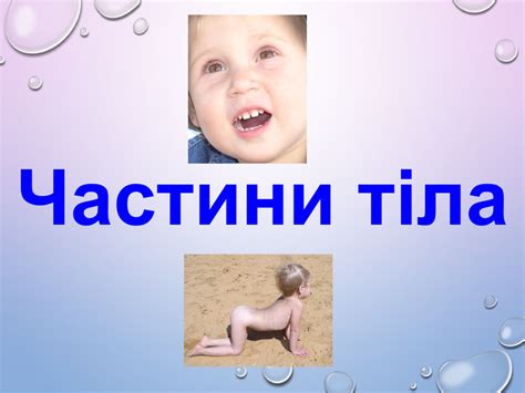 Презентація на тему: "Частини тіла"