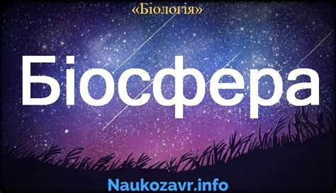 Біосфера — визначення, склад, властивості, межі