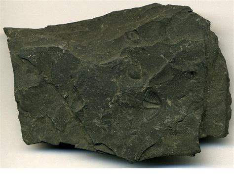 Index of /Ordovician-rocks_files/