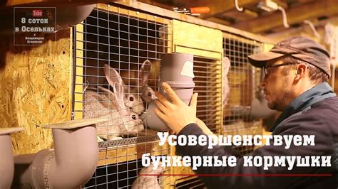 Усовершенствуем бункерные кормушки для кроликов - YouTube