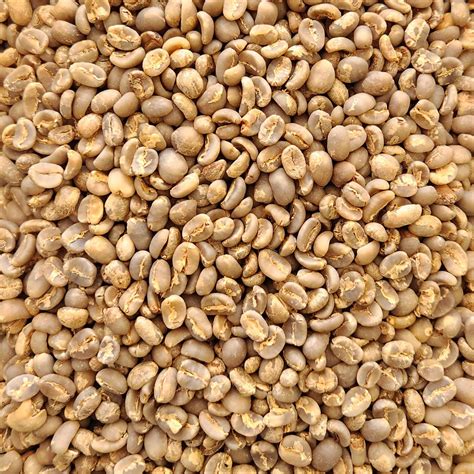 Indonesia Sumatran Green Coffee Beans 1kg – Chiasso Coffee