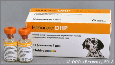 Нобивак DHP (Nobivac DHP), фл. 1 мл (1 доза) купить в ветеринарном ...
