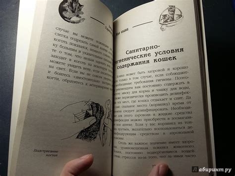Книга: Моя кошка. Краткое руководство для любителей кошек - Тайлиг ...