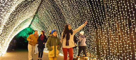 Best Spots for Christmas Lights in Chicago | Holiday Displays & Events