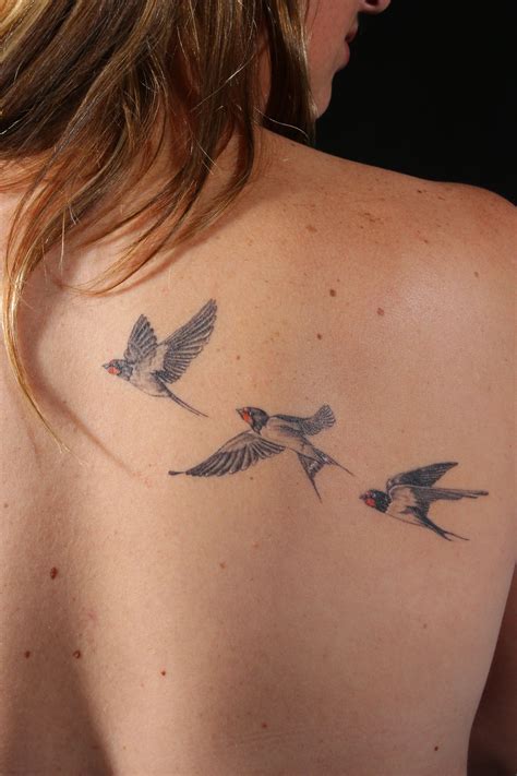 Barn Swallow Tattoo Designs | Wallpaper Mix