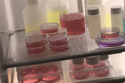 Bio-biological-agents.jpg – EUROWIN CHINA