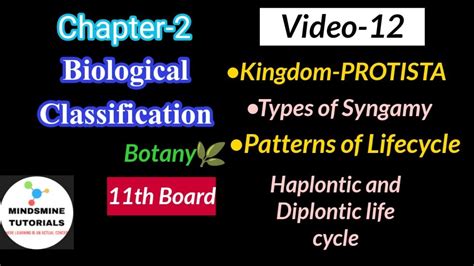 Ch-2 Part-12•Kingdom PROTISTA Types of Syngamy|Haplontic and Diplontic Cycle|Zygotic Gametic ...