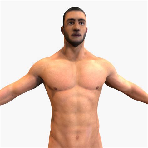 3d model male modeled anatomy