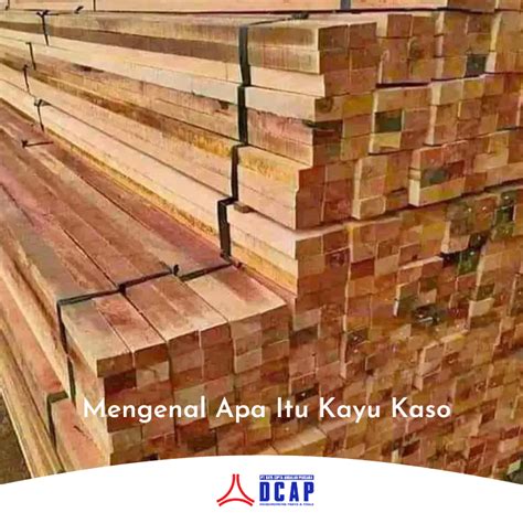 mengenal   kayu kaso