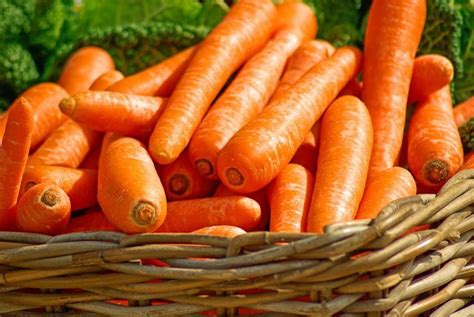 The Organic Price Premium – Homestead on the Range