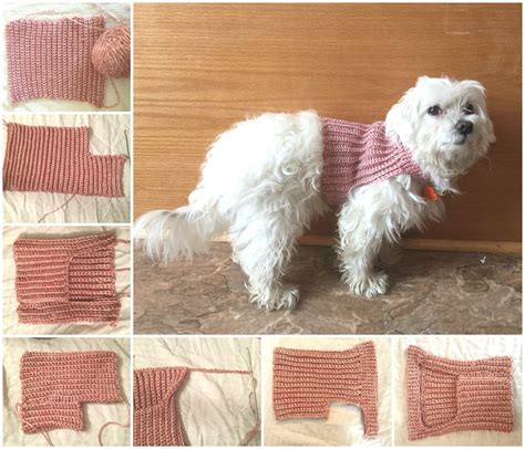 Messy, Beautiful, Fun: DIY Crochet Dog Sweater