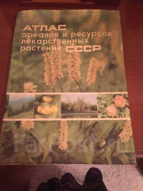 Атлас лекарственных растений СССР - Учебники во Владивостоке