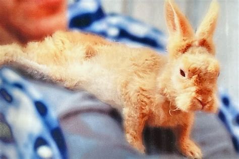 About Ugly Bunny Winery – Ugly Bunny Winery