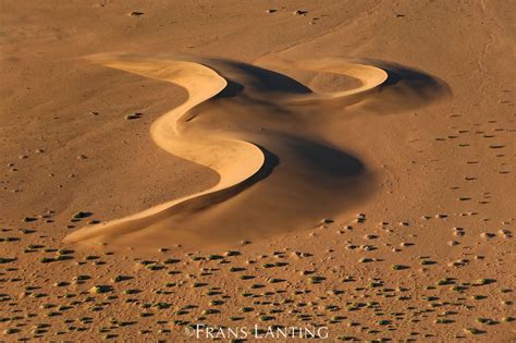 Barchan Dunes