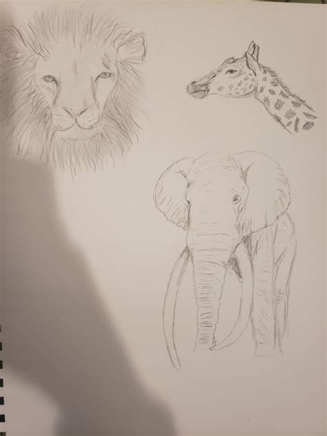 Digital Journal 4/9 – Leanna Scott