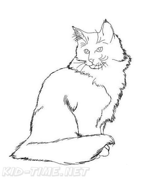 Norwegian Forest Cat Cat Breed Coloring Book Page