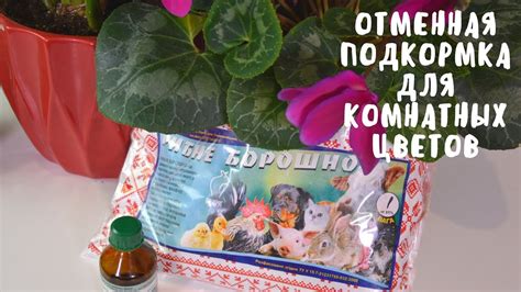 ПОДКОРМКА ДЛЯ КОМНАТНЫХ ЦВЕТОВ, КОТОРАЯ МНЕ ОЧЕНЬ ПОНРАВИЛАСЬ. Мои ...