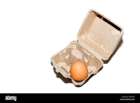 larger egg   box stock photo alamy