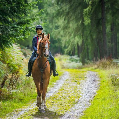 Riding Clothing