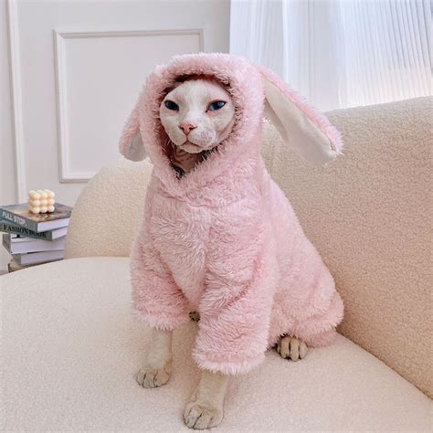 Sphynx Cat Clothes, Devon Rex Cats, Cat Tat, Pumpkin Flower, Warm