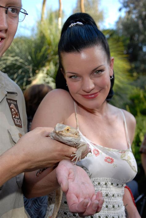 Pauley Perrette - NCIS Photo (14199706) - Fanpop