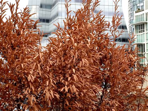 חוות דעת על ‪Spark Your Creativity‬ - ניו יורק, ניו יורק - Tripadvisor