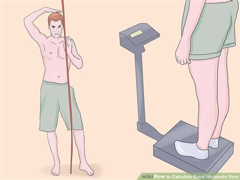 How to Calculate Basal Metabolic Rate (with Calculator)