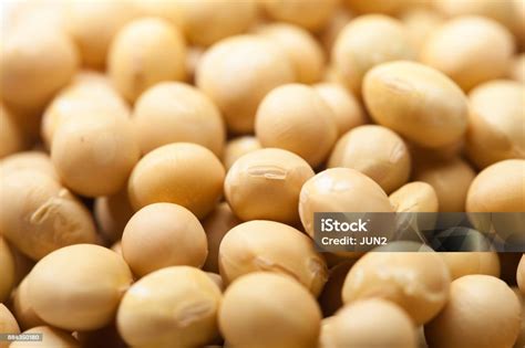 Latar Belakang Kedelai Tekstur Biji Kedelai Foto Stok - Unduh Gambar ...