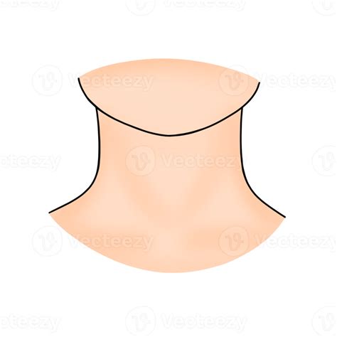 Neck PNGs for Free Download