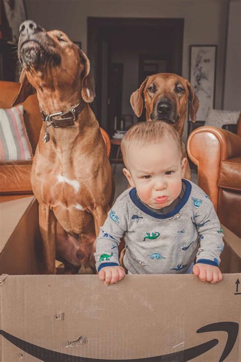 The Nature of My Dogs and The Nurture of My Child - Marking Our Territory
