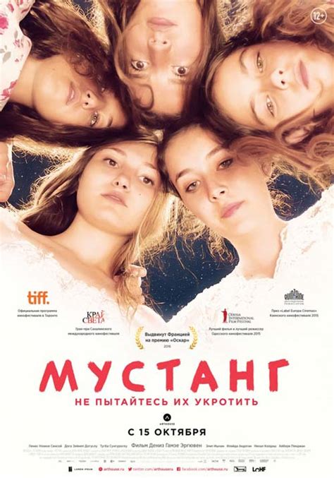 Фильм Мустанг (2015), описание, содержание, трейлеры